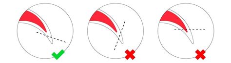 cut dog's nail too short how to stop bleeding