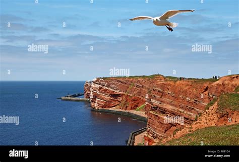 on famous Island Heligoland, Germany Stock Photo - Alamy