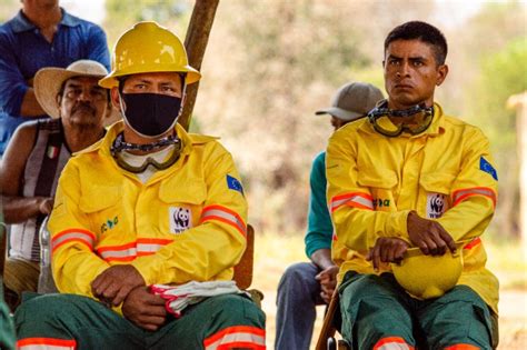 Novas brigadas são formadas para combate aos incêndios no Pantanal Ecoa