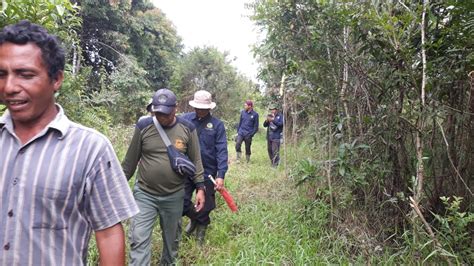 MASUK PEMUKIMAN MASYARAKAT TIM MAHOUT TN TESSO NILO GIRING 3 GAJAH