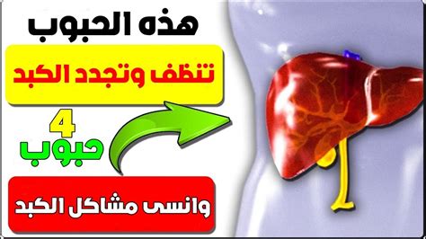 هذه الحبوب تنظف وتجدد الكبد 4 حبوب تساعد على تنظيف الكبد وانسى مشاكل الكبد Youtube