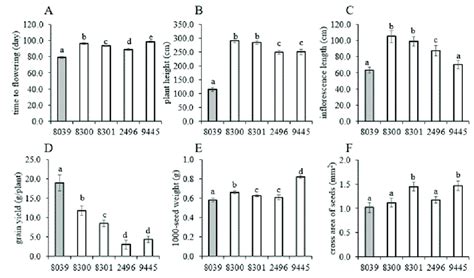 Mean values of some agro-morphological traits recorded from 5 amaranth ... 