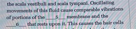 Solved the scala vestibuli and scala tympani. Oscillating | Chegg.com