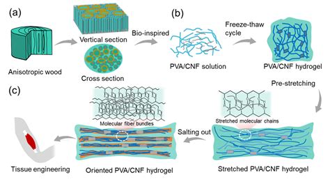 Natural Wood Inspired Ultrastrong Anisotropic Hybrid Hydrogels