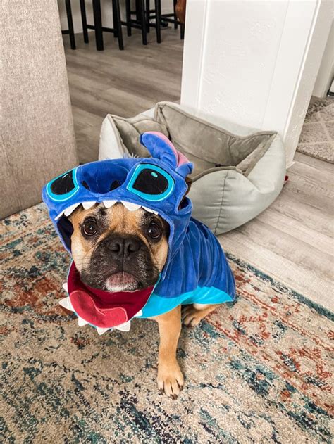 Pet Krewe Sesame Street Cookie Monster Dog Cat Costume