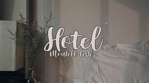 Hotel Montell Fish Lyrics Video Youtube