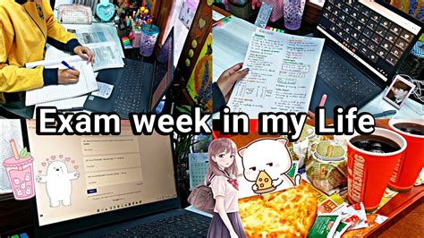 Fa Exam Week In My Life Productive Vlog Study Vlog Pragati