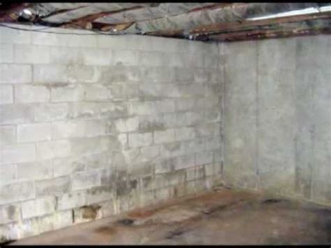 How To Damp Proof Your Basement - Openbasement