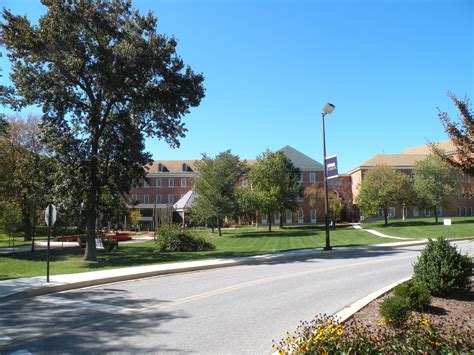 Download University Of Maryland College Road Wallpaper