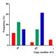 Aab Relations Expression Profiles And Polymorphic Identification Of