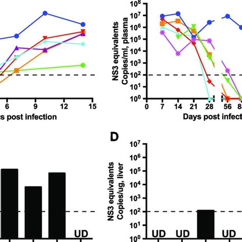 Plasma And Tissue Viral Loads In GBV B Infected Marmosets GBV B Viral