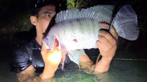 PESCA DE TILAPIAS GIGANTES EN RÍO SUMPUL CHALATENANGO YouTube