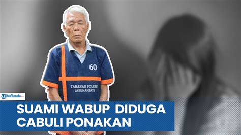 Sosok Freddy Suami Wabup Labuhanbatu Diduga Cabuli Ponakan Di Rumah