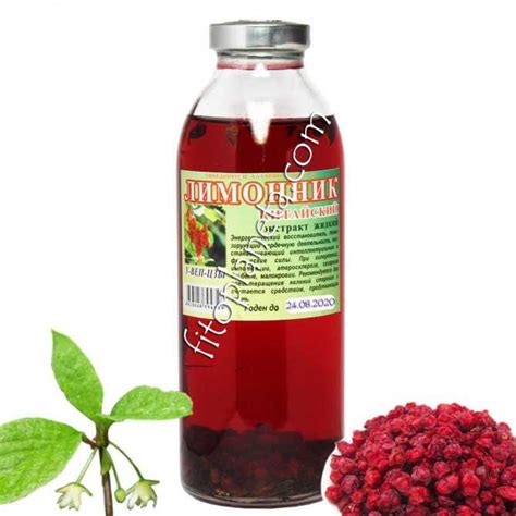 Лимонник китайский лечебные свойства: Лимонник китайский