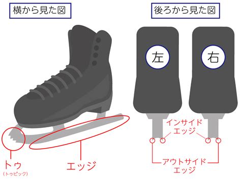 フィギュアスケートの6種類のジャンプの違いとは6つのジャンプを覚えて見分けられるようになりたい てふてふさんぽ