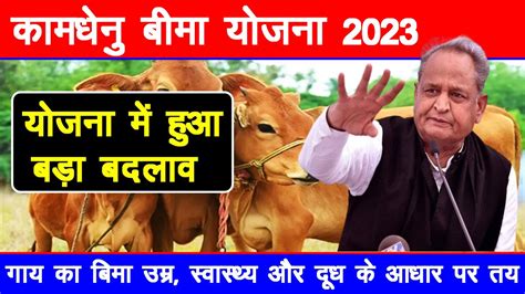 कामधेनु बीमा योजना 2023 गाय का बिमा उम्र स्वास्थ्य और दूध के आधार