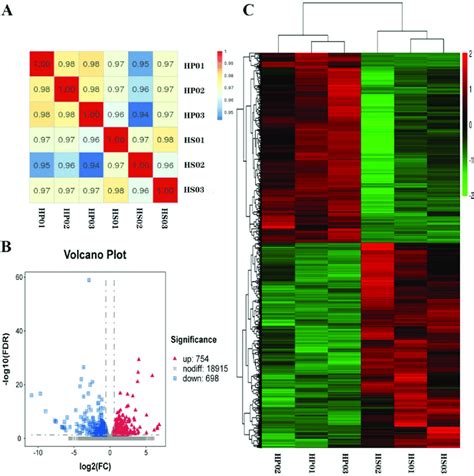 Preliminary Analysis Of The Gene Expression A Heat Map Of Gene Download Scientific Diagram