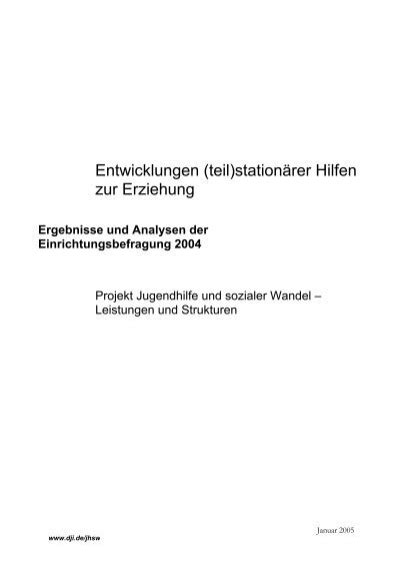 Entwicklungen Teil Deutsches Jugendinstitut E V