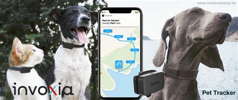 Invoxia Pet Tracker Gps Tracker Pre Zvierat Gpsnavig Cia Sk