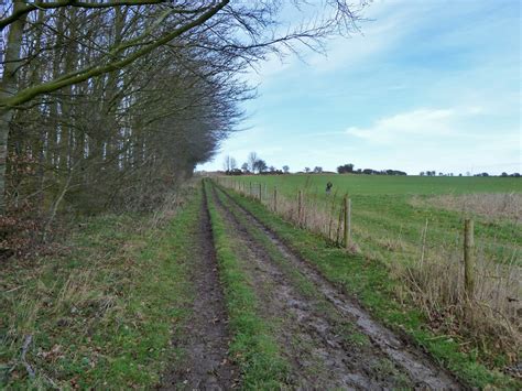 Bridleway Storrington And Robin Webster Geograph Britain