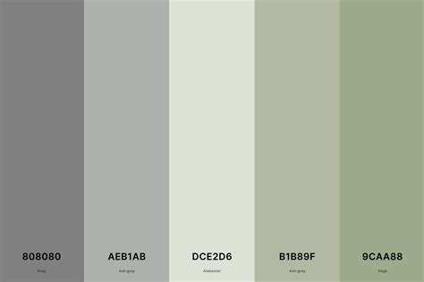 25 best sage green color palettes with names and hex codes – Artofit