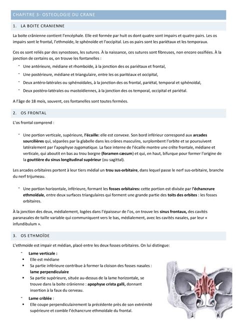 Chapitre Cours Complet De Bac M Decine Anatomie Iii