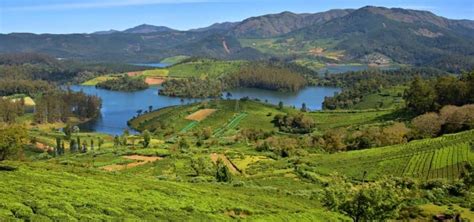 Top 5 Beautiful Lakes In Ooty Famous Beautiful Lakes In Ooty