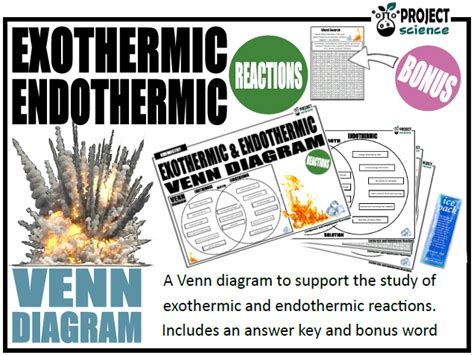 Exothermic And Endothermic Reactions Venn Diagram Teaching Resources