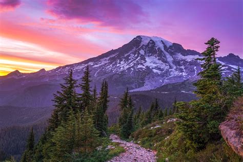 Mt Rainier & Pinnacle Peak Trail by Patricia Davidson