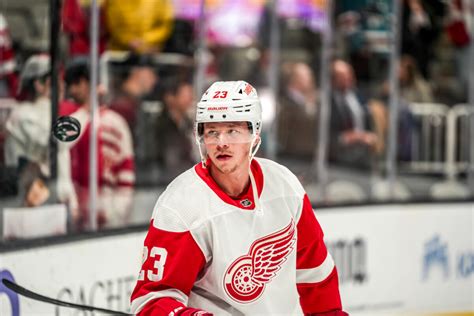 Grading The Red Wings Season After 60 Games The Hockey Writers