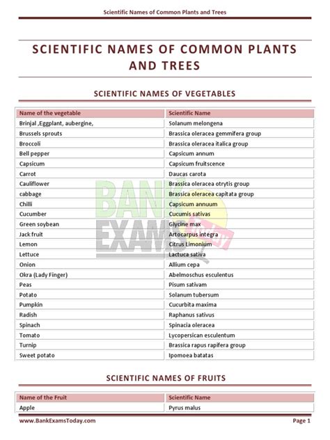 Scientific Names of Common Plants & Trees..... | PDF | Fruit | Eggplant