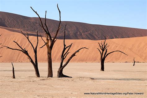 Namib Sand Sea Natural World Heritage Sites