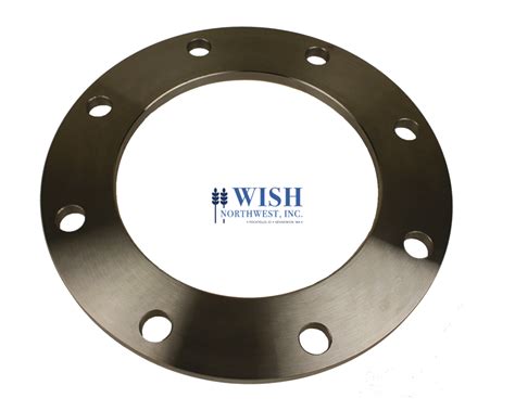 Wish Od Carbon Steel 12″ Plate Flange