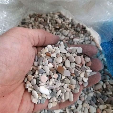 Jual Batu Panca Warna Untuk Hiasan Dekorasi Aquarium Gram Shopee