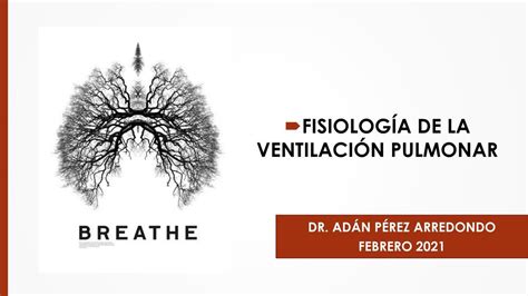 Fisiolog A De La Ventilaci N Pulmonar Alisson Gomora Gonzalez Udocz