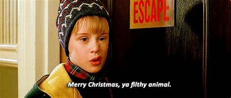 Ya Filthy Animal  Holidays Happy Holidays Home Alone Discover