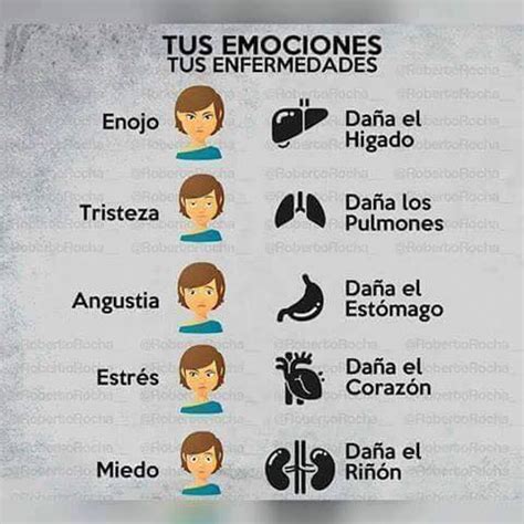 Las Emociones Y Nuestro Cuerpo Imagen Global