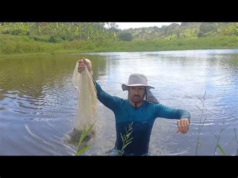 O Que Aconteceu Meus Peixes Tambaqui Xira E Carpas Douradas Eram