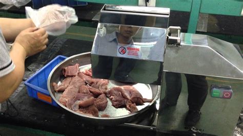 Mechanical Meat Tenderizer Machine Grt Trsh Youtube