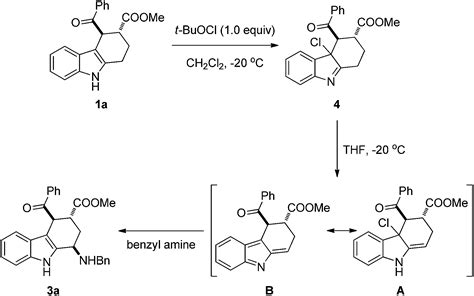 Tert Butyl Hypochlorite Mediated Diastereoselective Oxidative Coupling