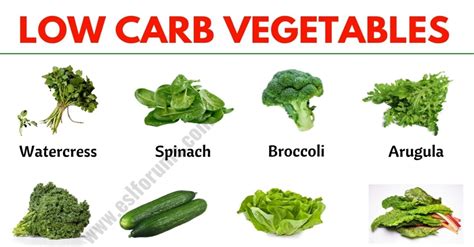 25 Low Carb Vegetables: A Guide to The Best Low-Carb Vegetables - ESL ...