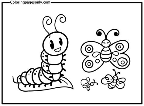 Caterpillar To Butterfly Coloring Page