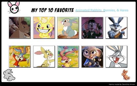 My Top 10 Favorite Rabbits