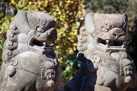 Foo Dogs Or Shishi Guardian Lions Statues Hand Carved From Volcanic