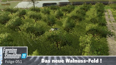 Castelnaud Neu Walnuss Mutter Feld Wird Gekauft Lets Play