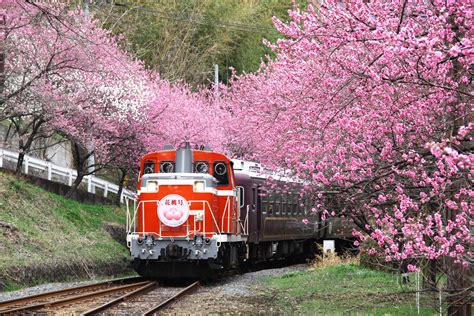 わたらせ渓谷鐵道｜トロッコ列車 みどころ情報 わたらせ渓谷鐵道が走る群馬県みどり市の観光公式サイト