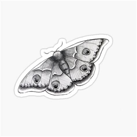 Black And White Emperor Moth Pencil Sketch Sticker By Maluminous97