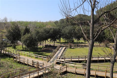 Parco Nazionale Del Vesuvio Apre Al Pubblico Gratuitamente Il Sentiero