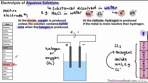 Electrolysis Of Aqueous Solutions Worksheet