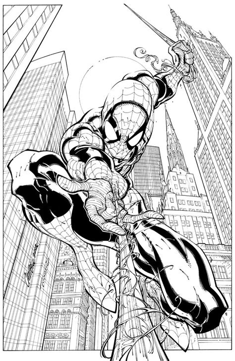 Spider Man J Scott Campbell Spiderman Art Sketch Spiderman